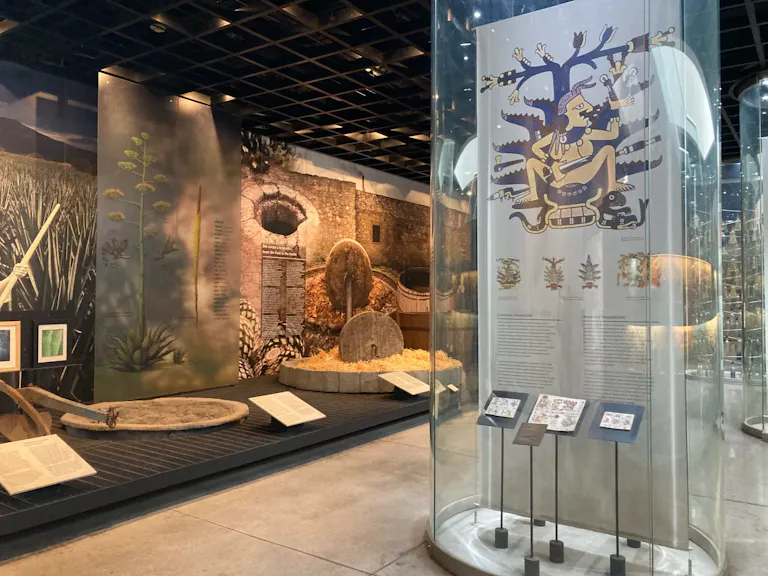 テキーラ・メスカル博物館の展示