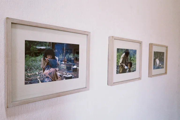 展示