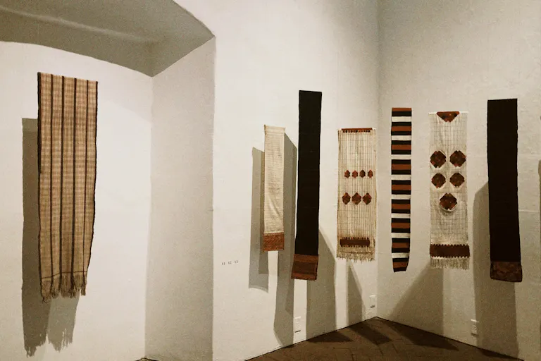 展示