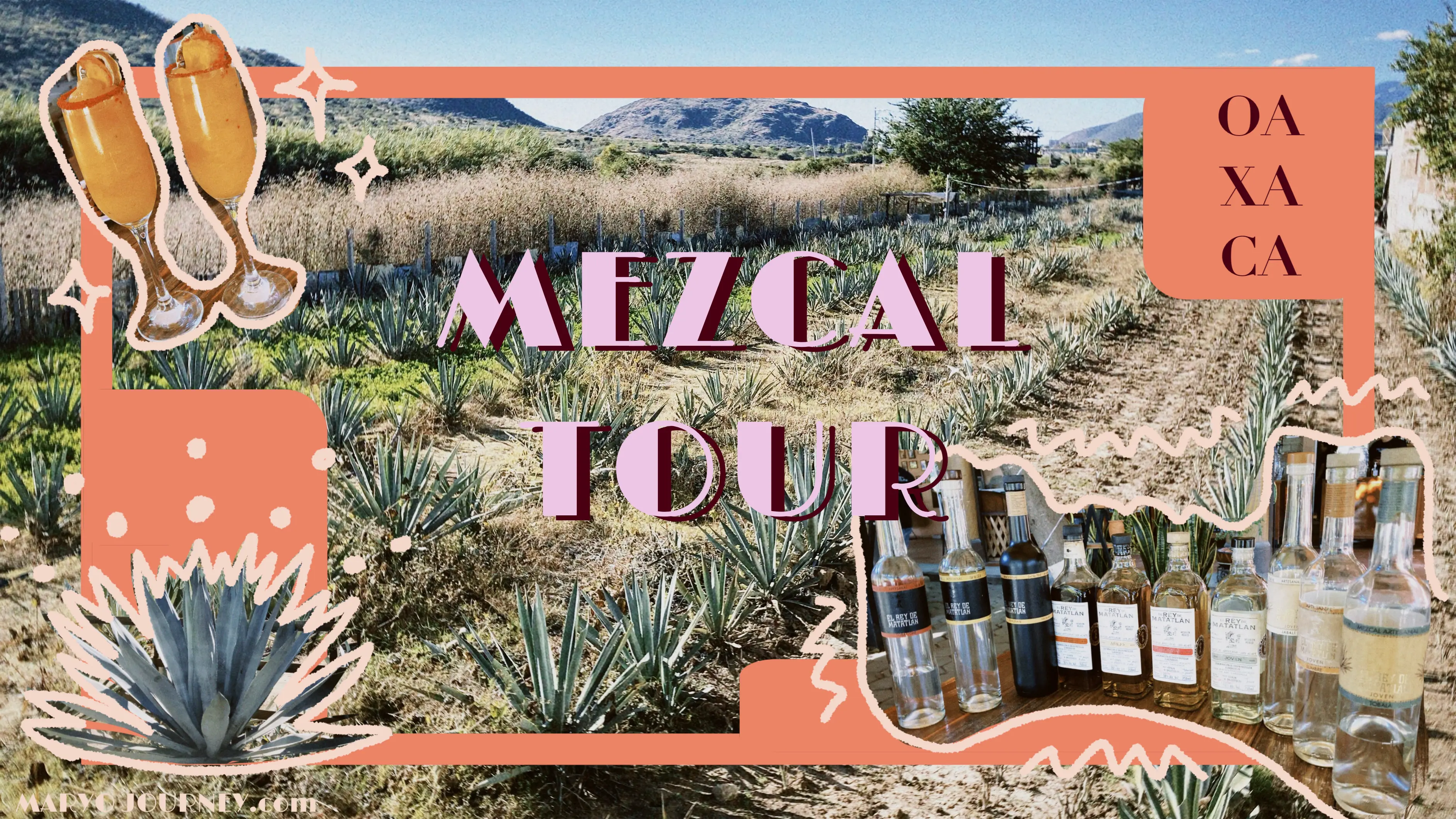 格安&充実の内容！メスカルの蒸留所ツアー【オアハカ/メキシコ