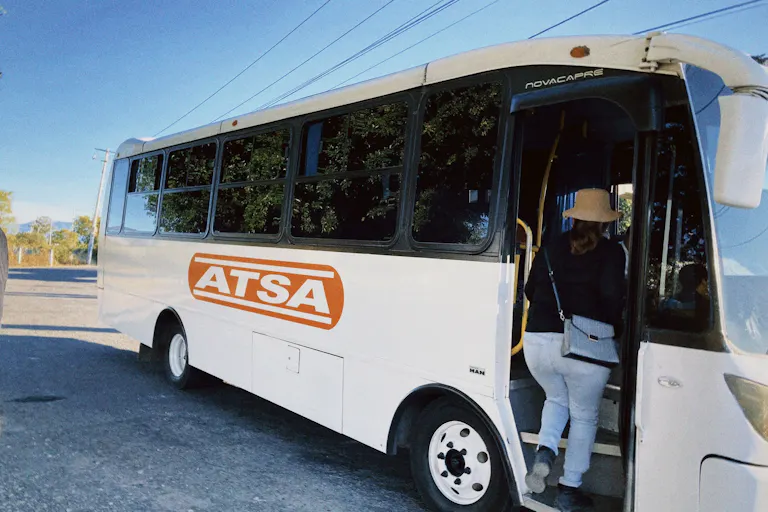バス