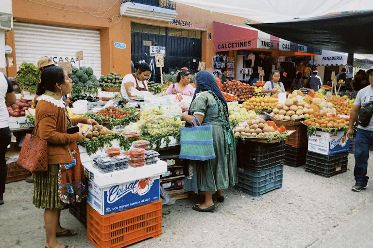 トラコルーラ