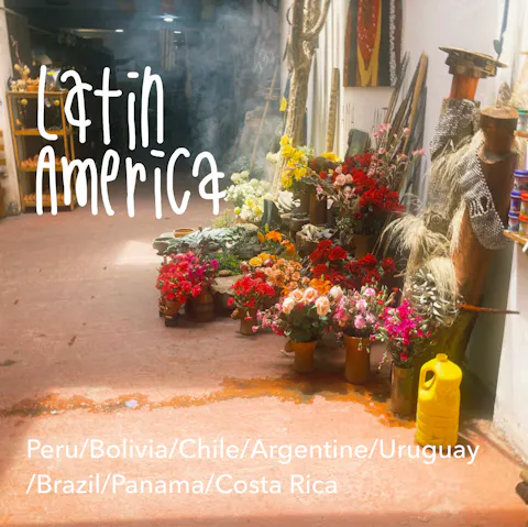 中南米・旅行記