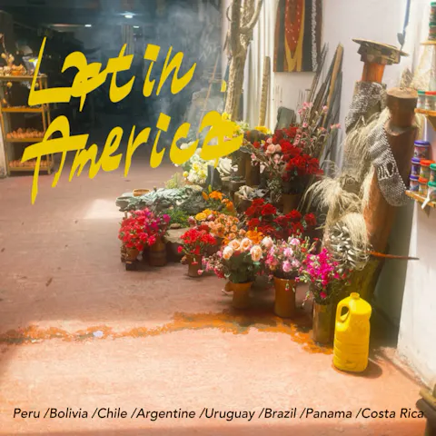 中南米・旅行記